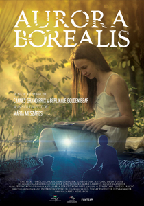 Aurora-Borealis-poster